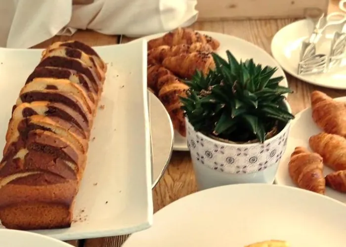 酒店 吉阿迪内托酒店 4*